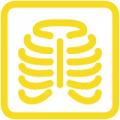 Icon Diagnostische Und Interventionelle Radiologie