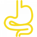 Icon Gastroenterologie