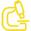 Icon Labor